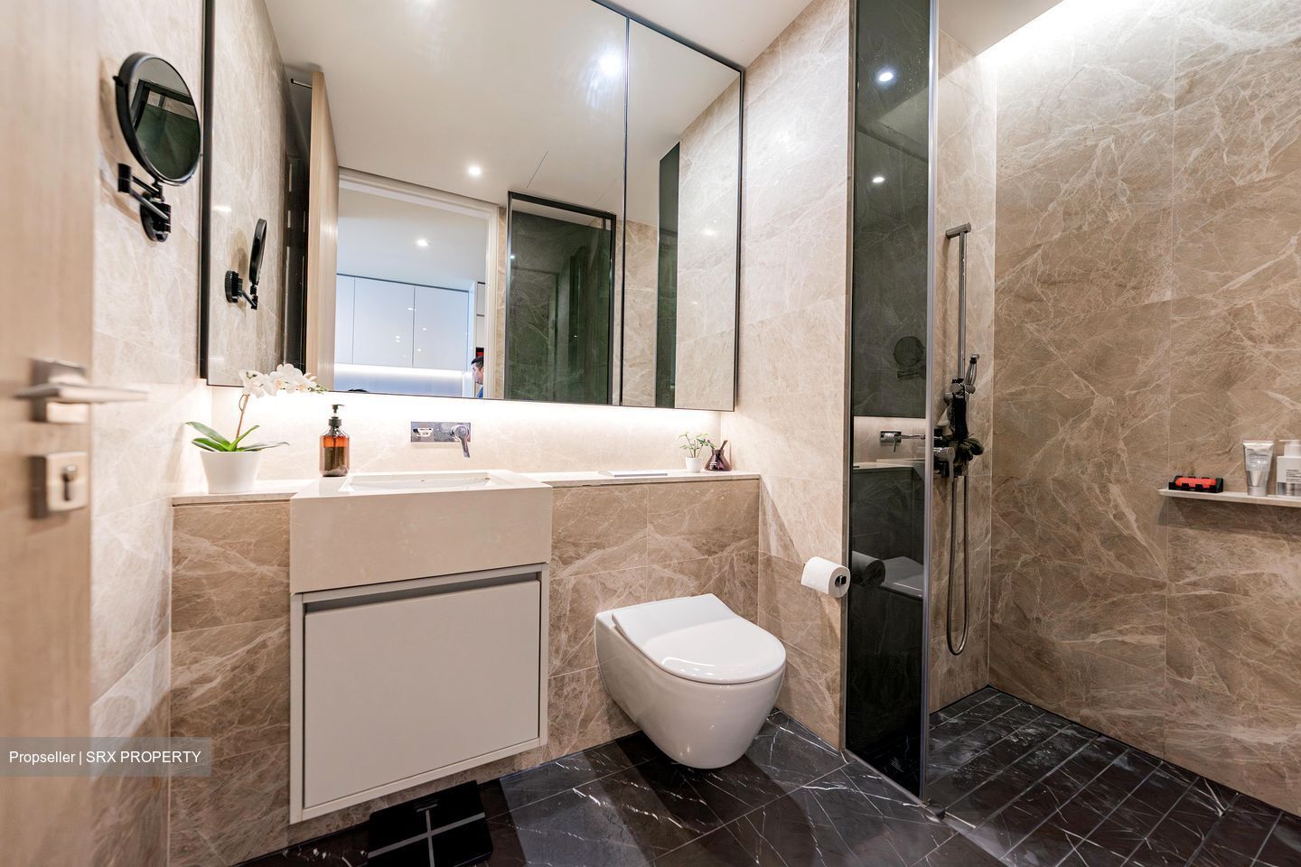 Amber Park (D15), Condominium #499104141